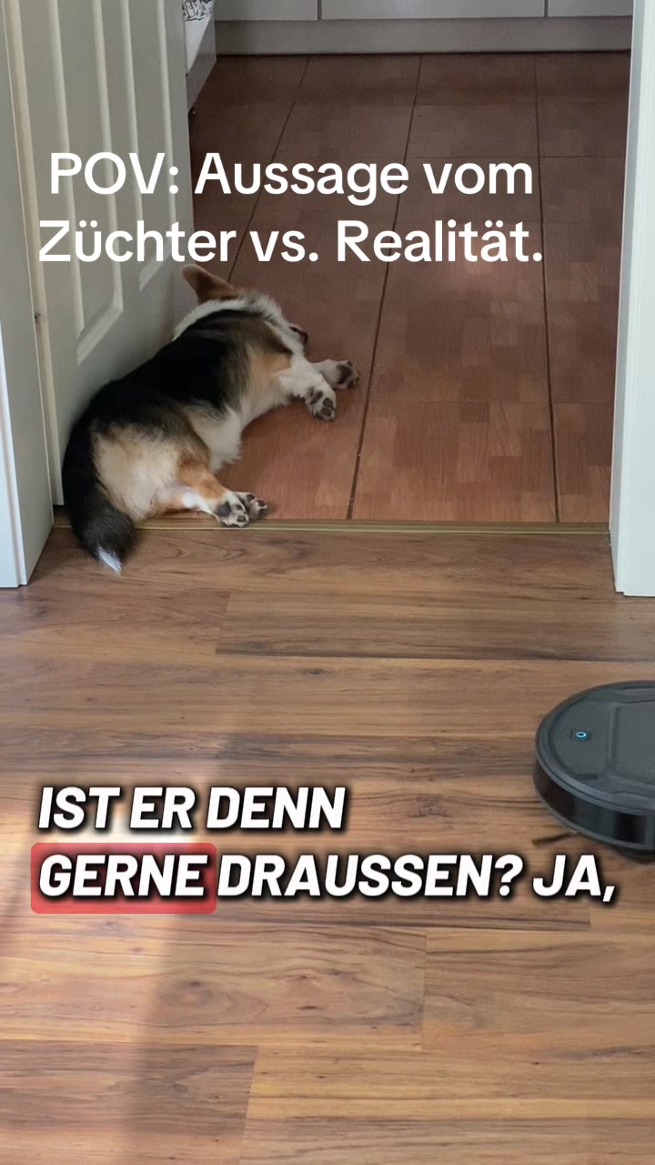 @yoshiundstitch
