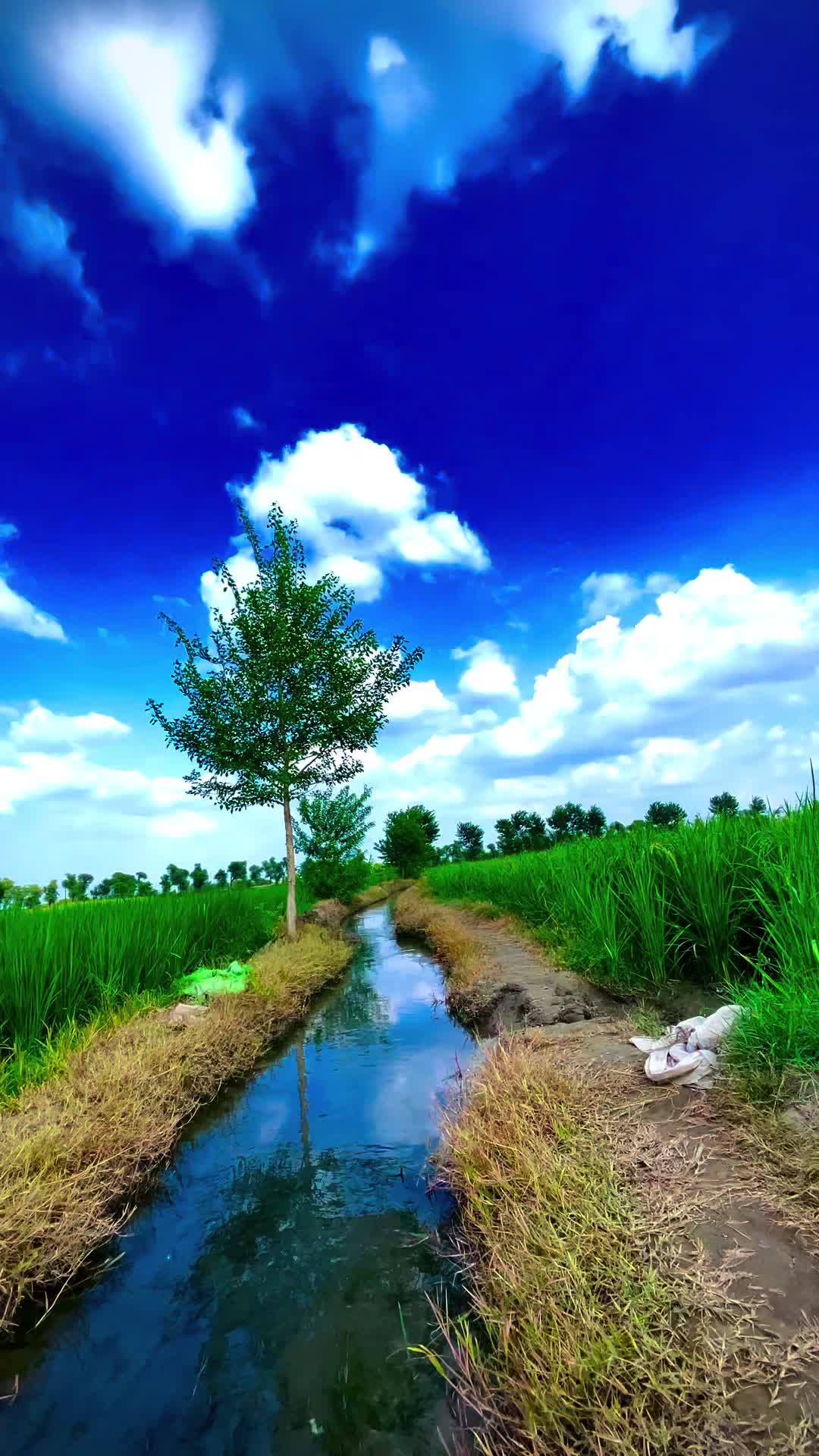 @احمد ہنجرا_بہاولنگر🥰