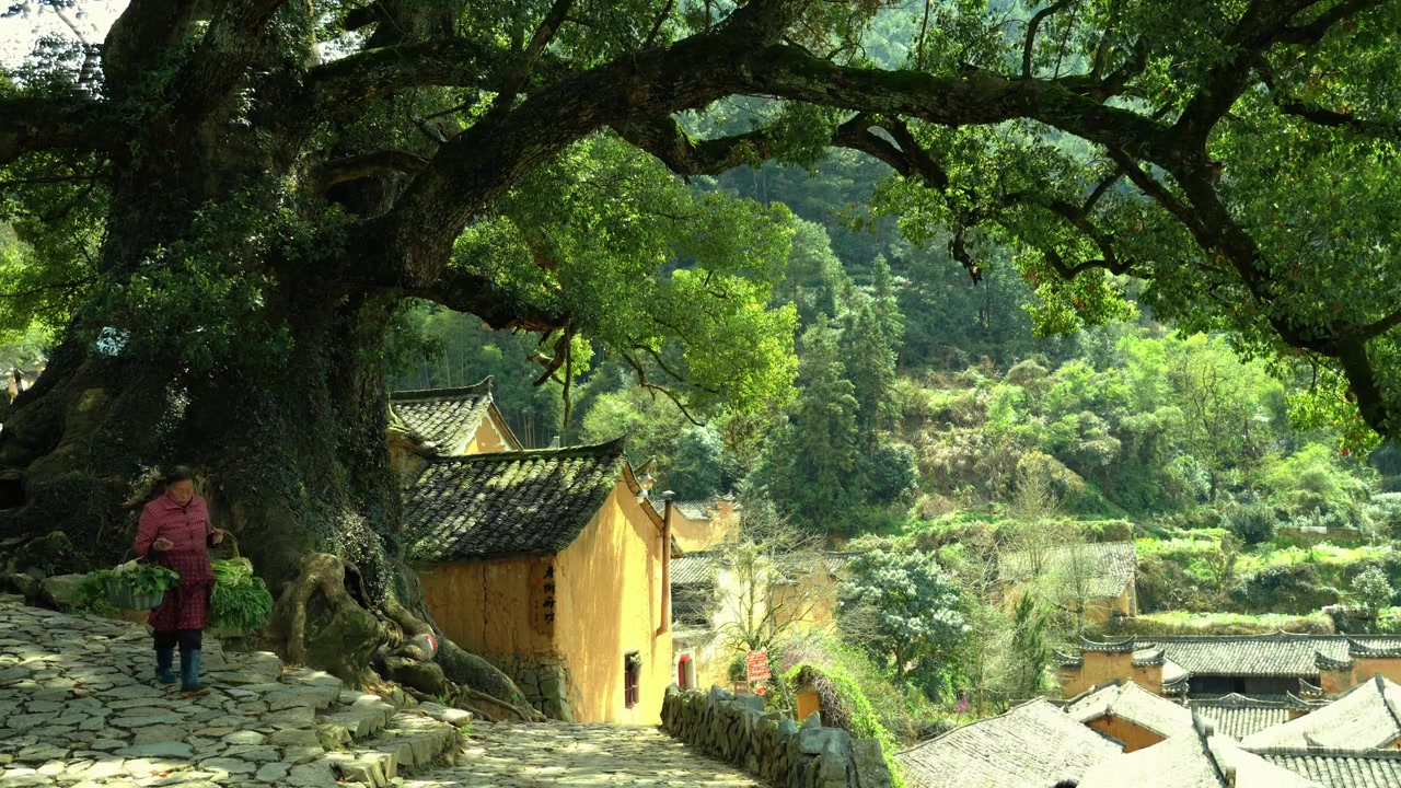 @China Travelling