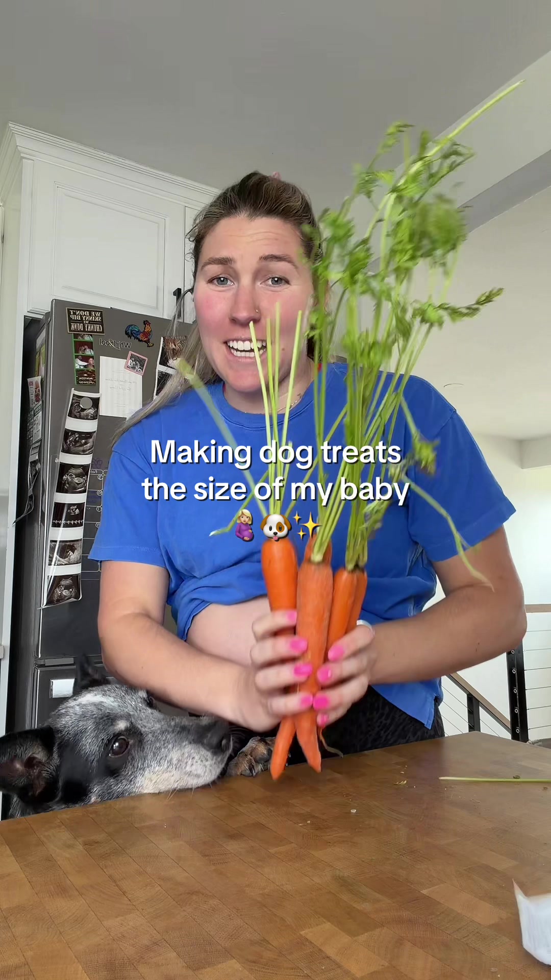 @The Z Cattle Dogs