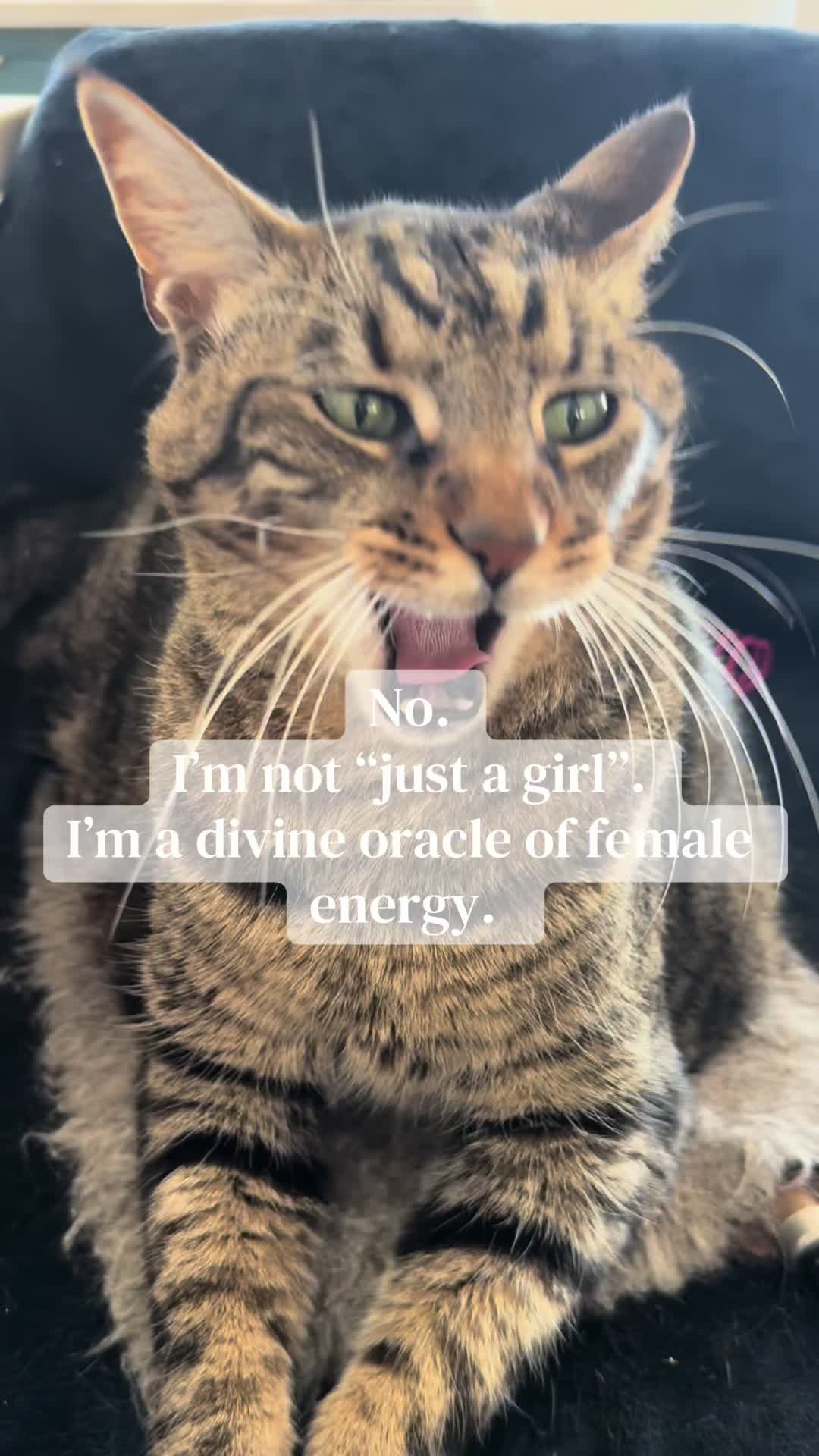 @DK 🐾🍒