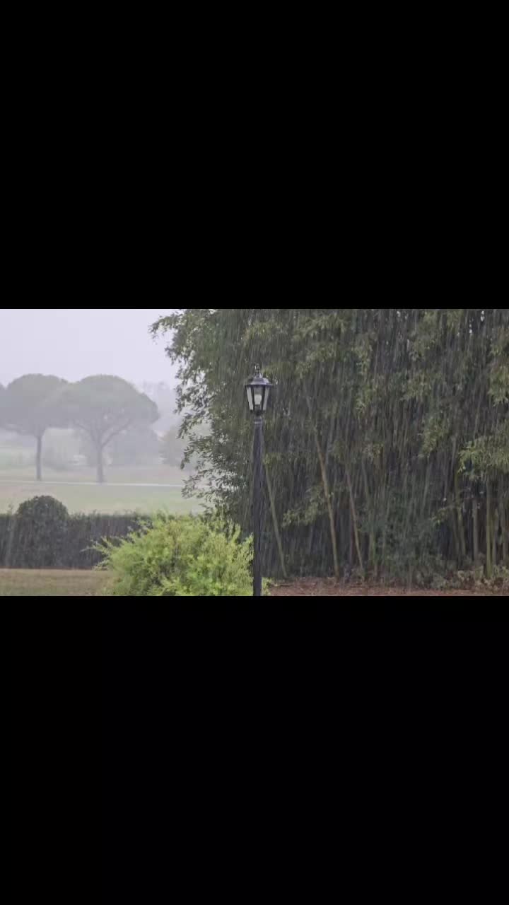 @Weather Insider