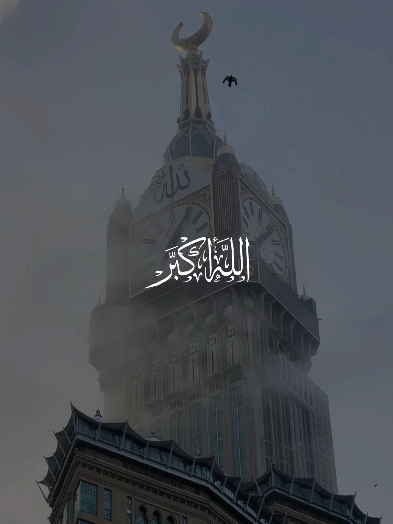 @قرآن Quran