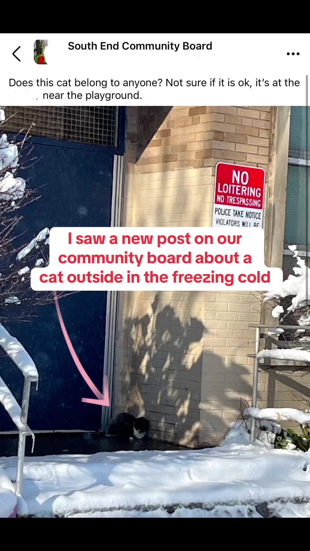 @Auntie Julie - The Cat Sitter