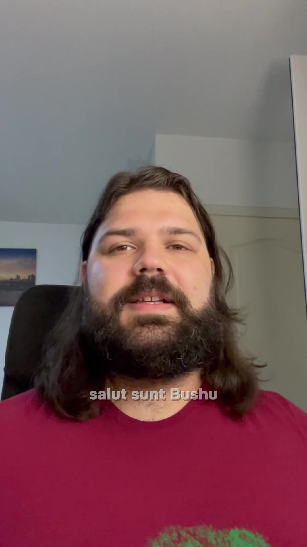 @Bushu