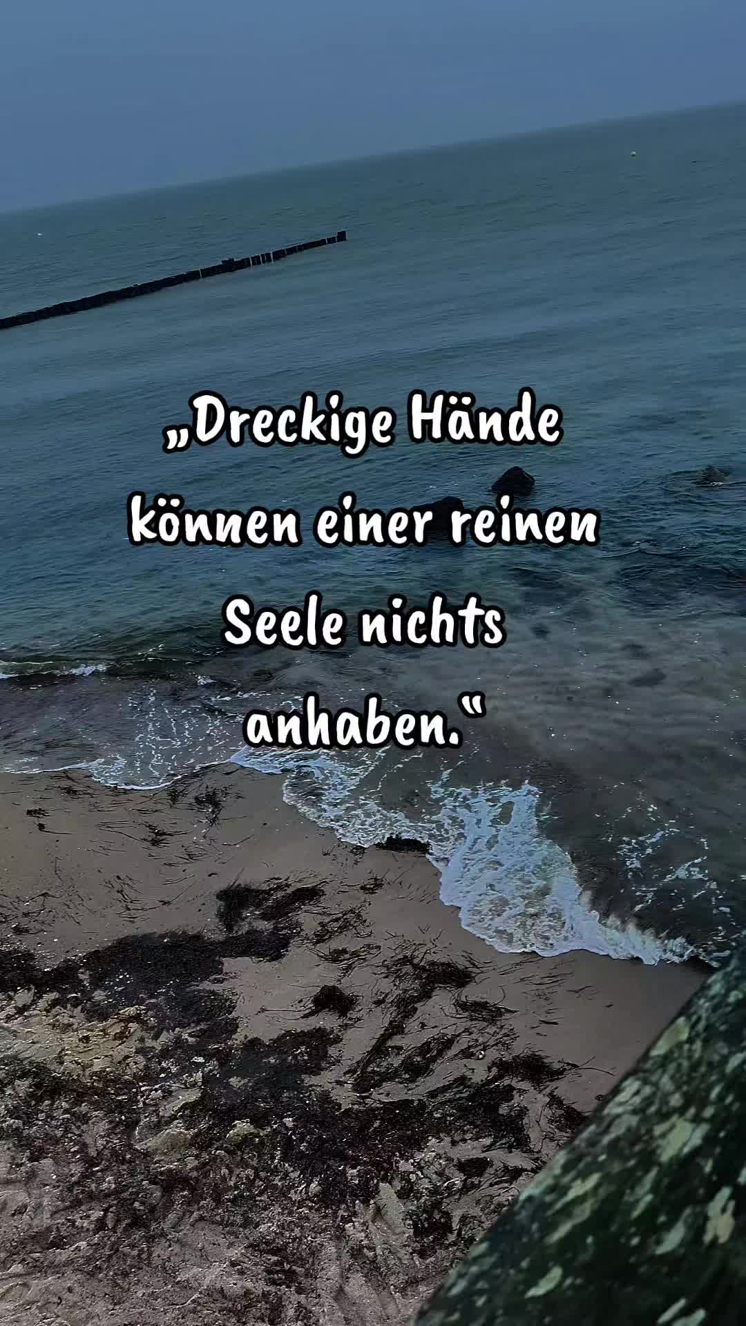 @🇩🇪ROSE.DIE.ECHTE🇩🇪