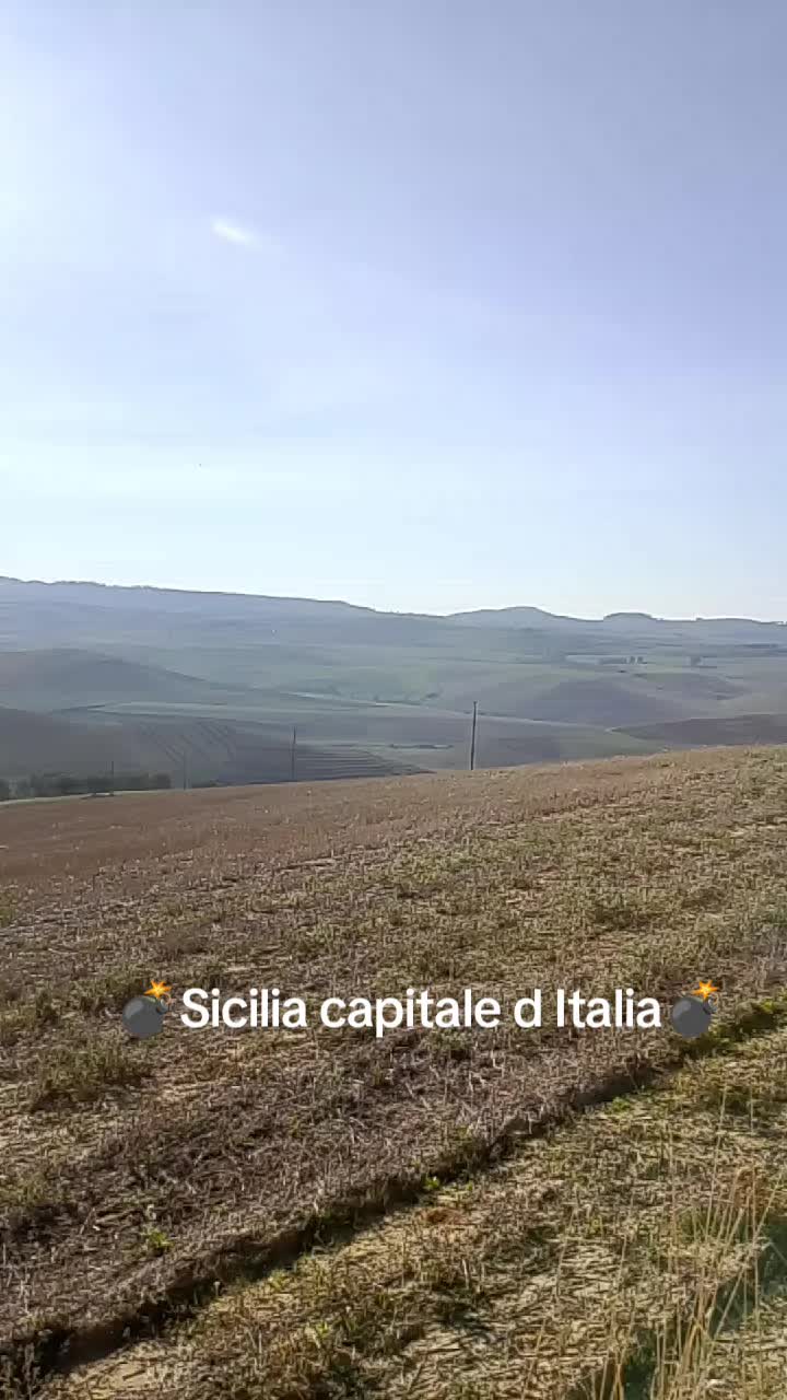 @Stefano Zagara