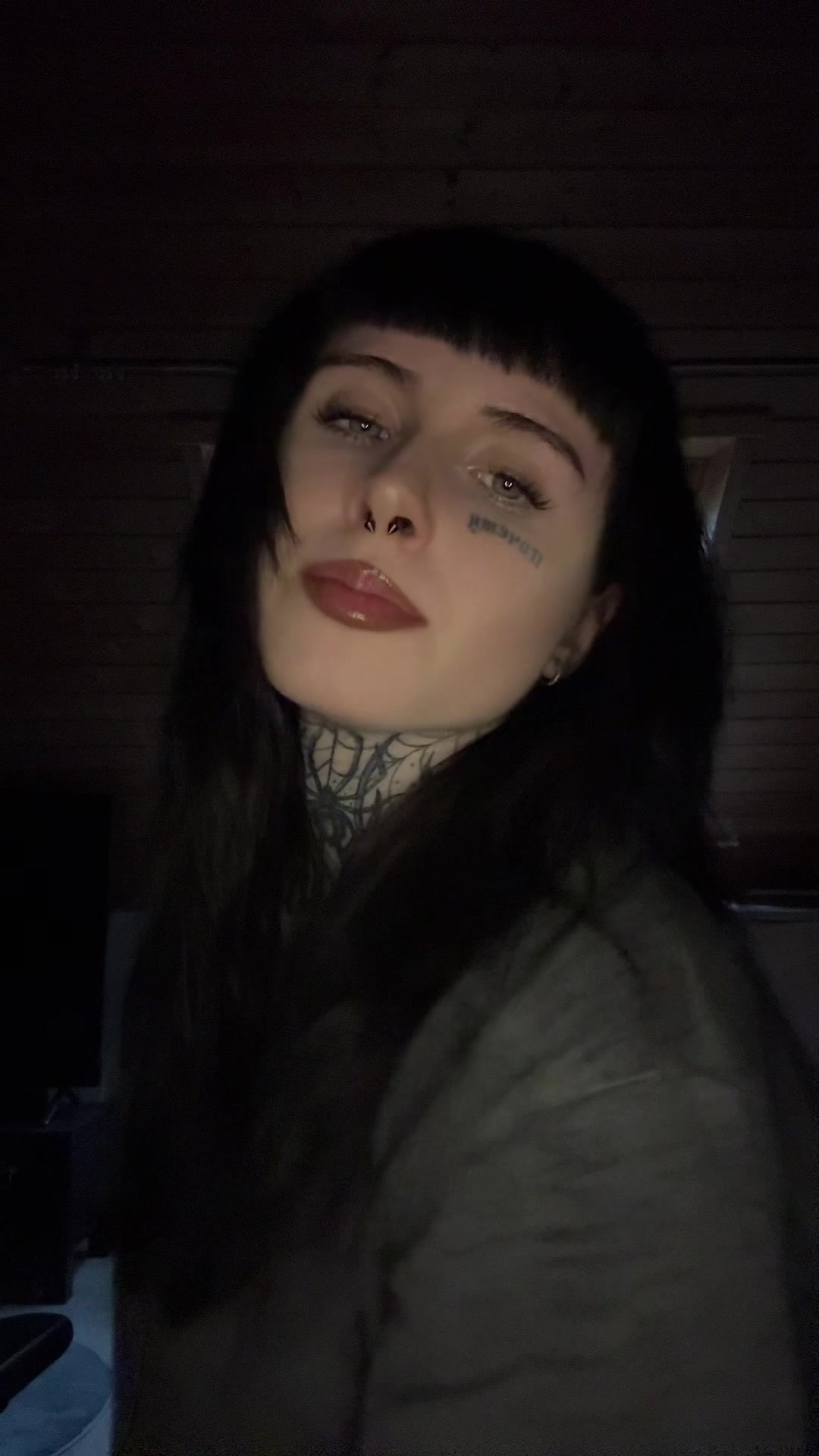 @🕷️
