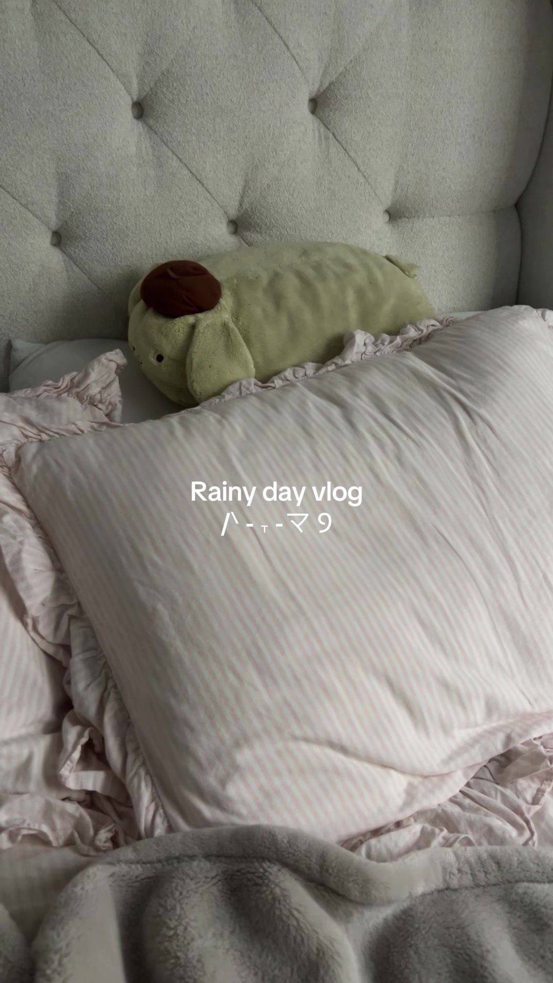 @⋆˚ʚɞ