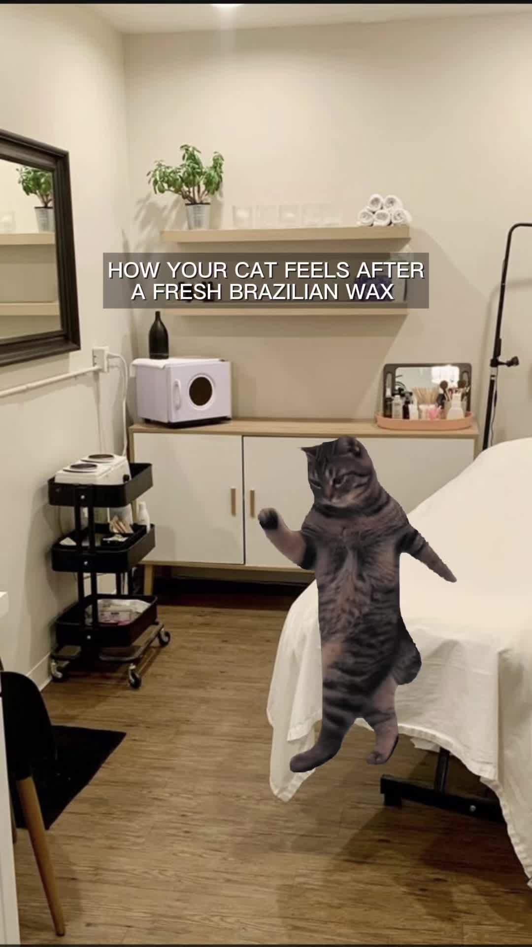 @The Wax Pros