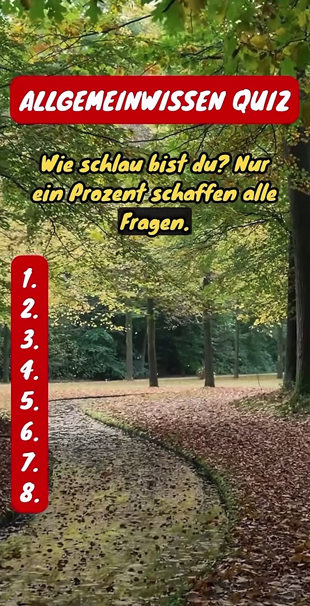 @DailyQuizMaster
