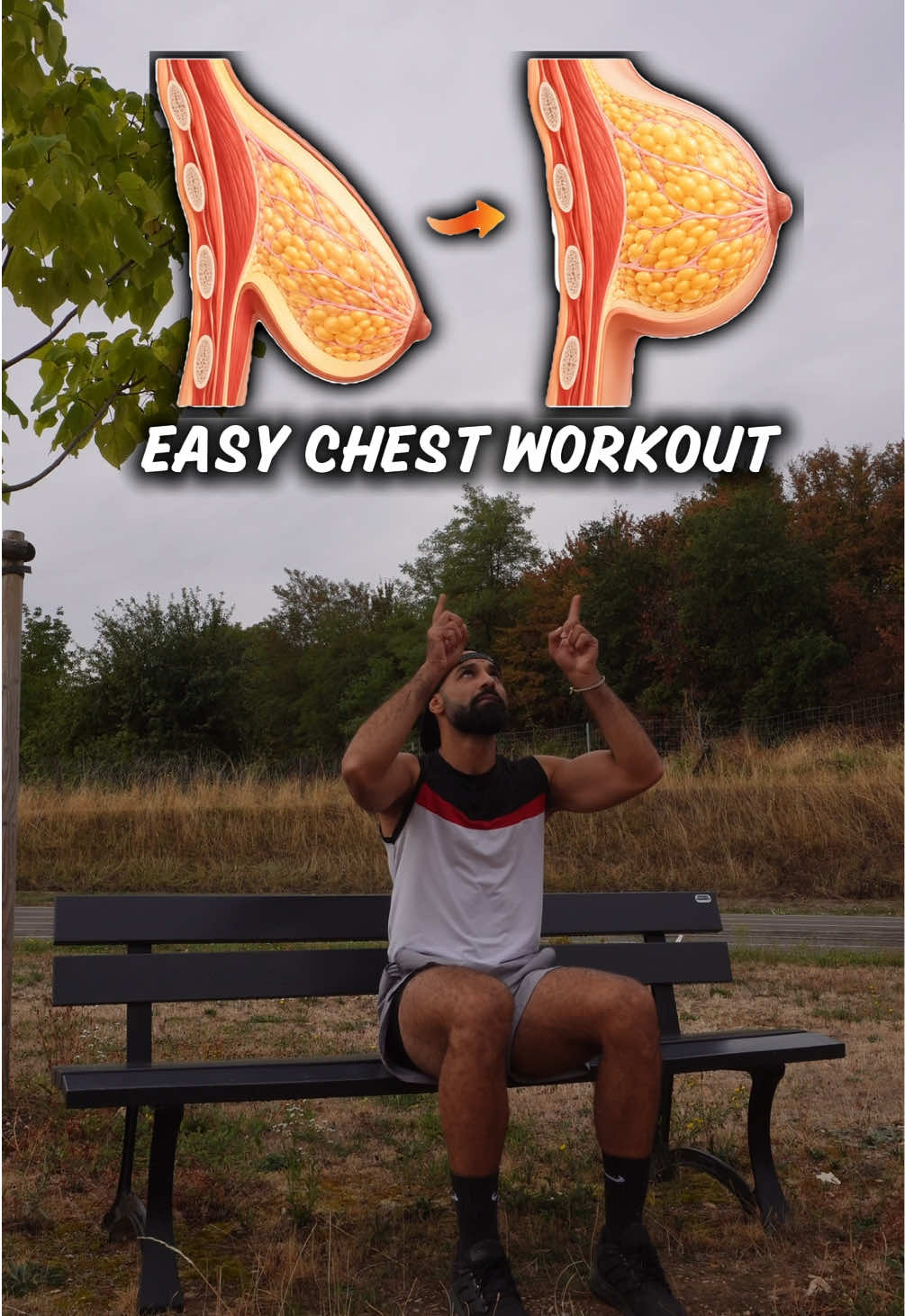 @MT trainer