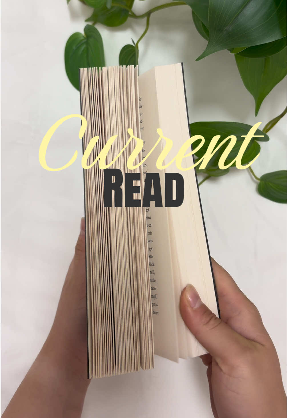 @Alina 📚✨