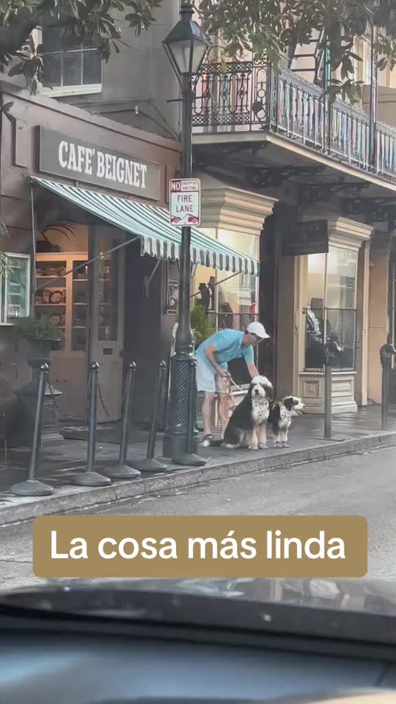 @Marisol