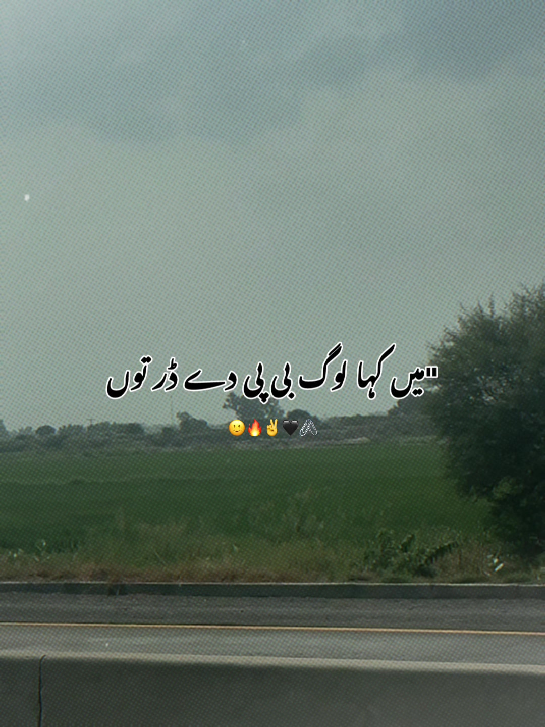 @Habibi
