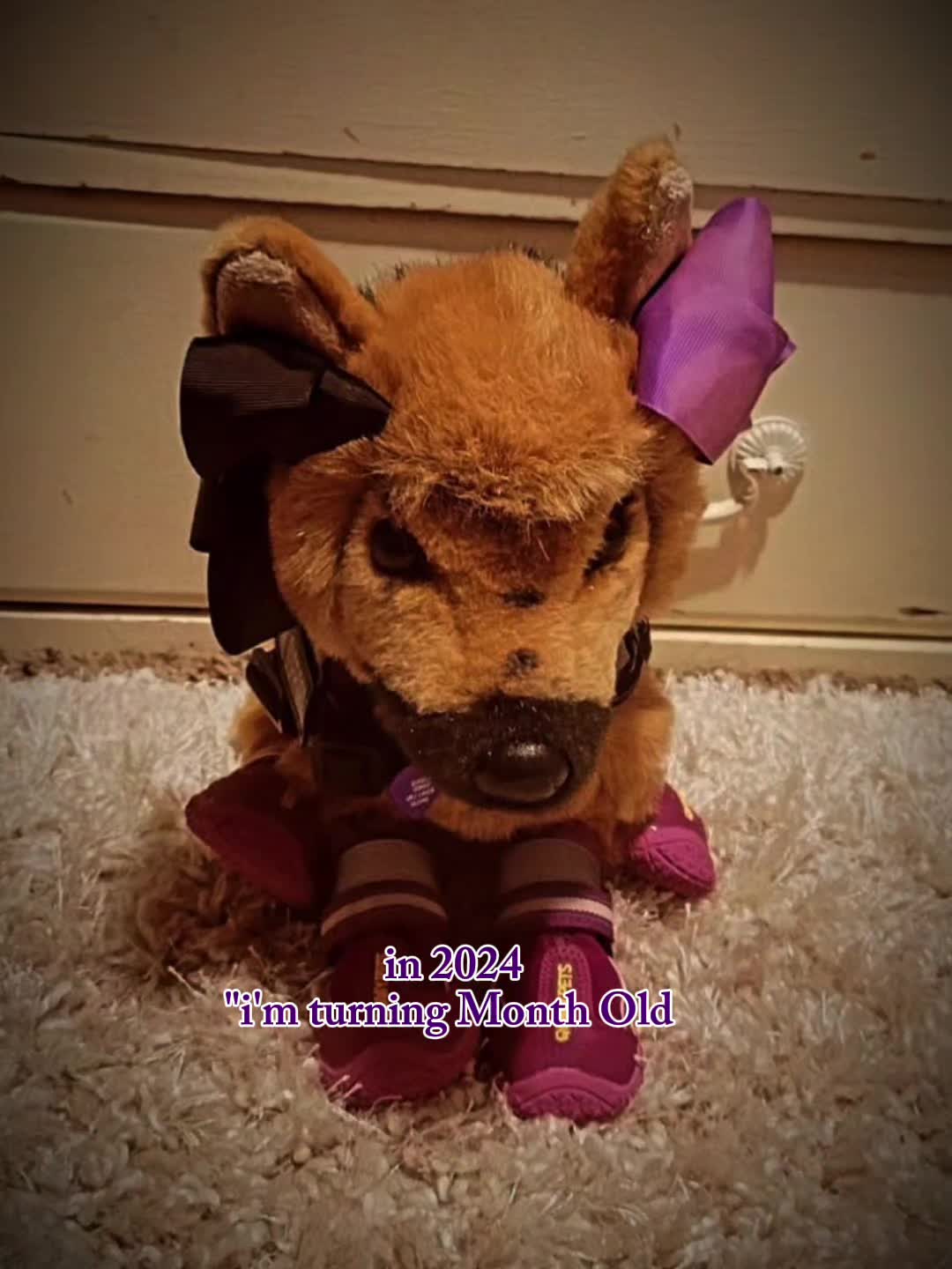 @🎃🦇👻IsabellaandDino🎃🦇👻