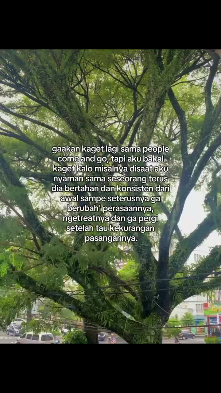@All💫