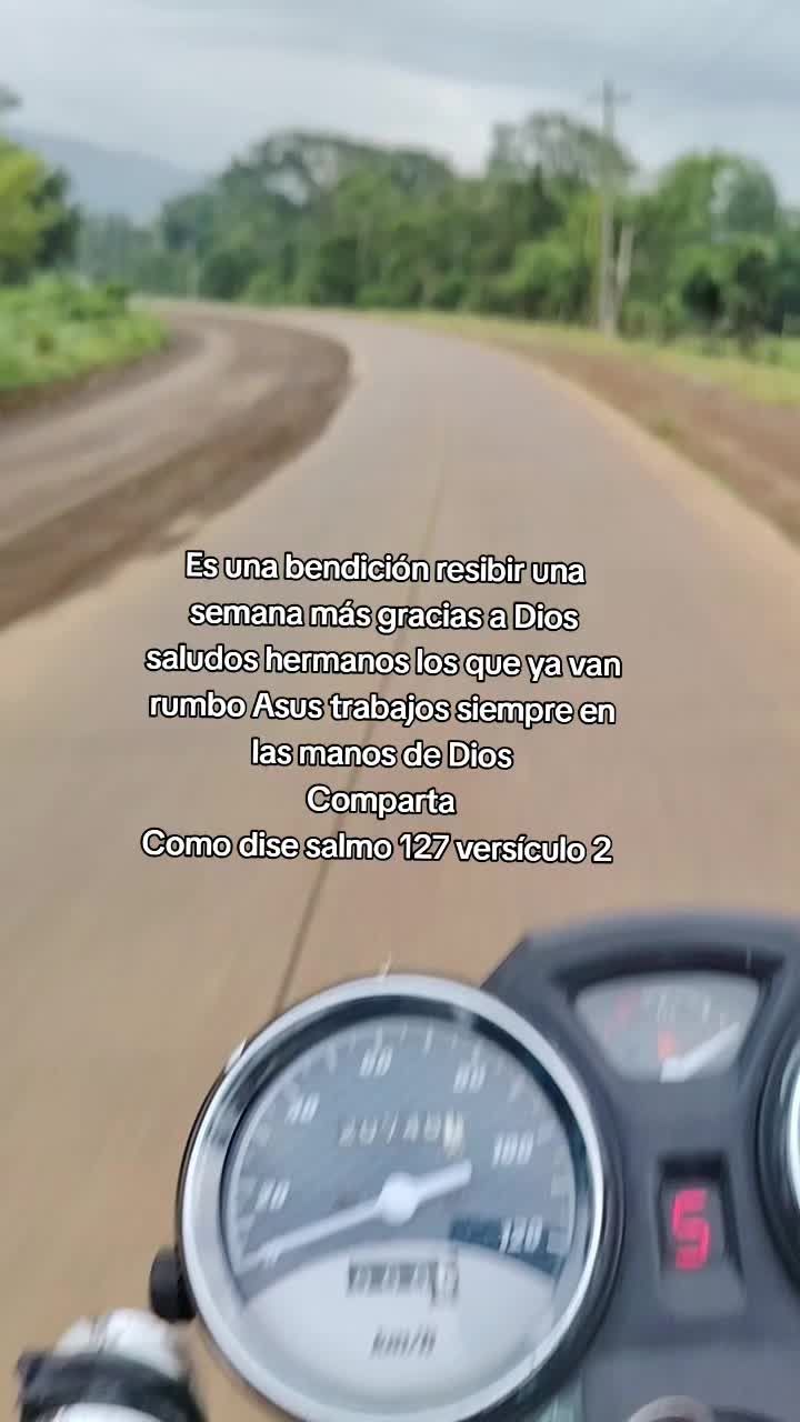 @Evercocyat