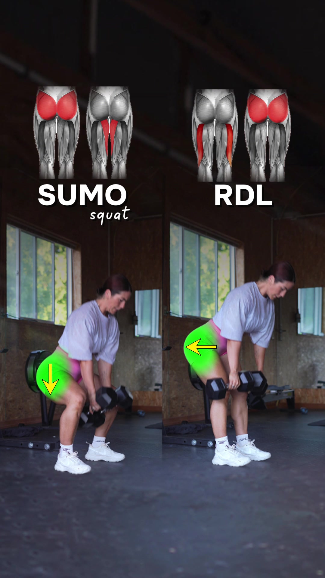 @raize 📲 workout app