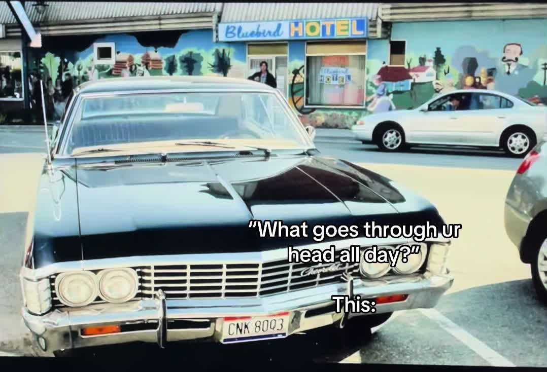 @spn4life_528