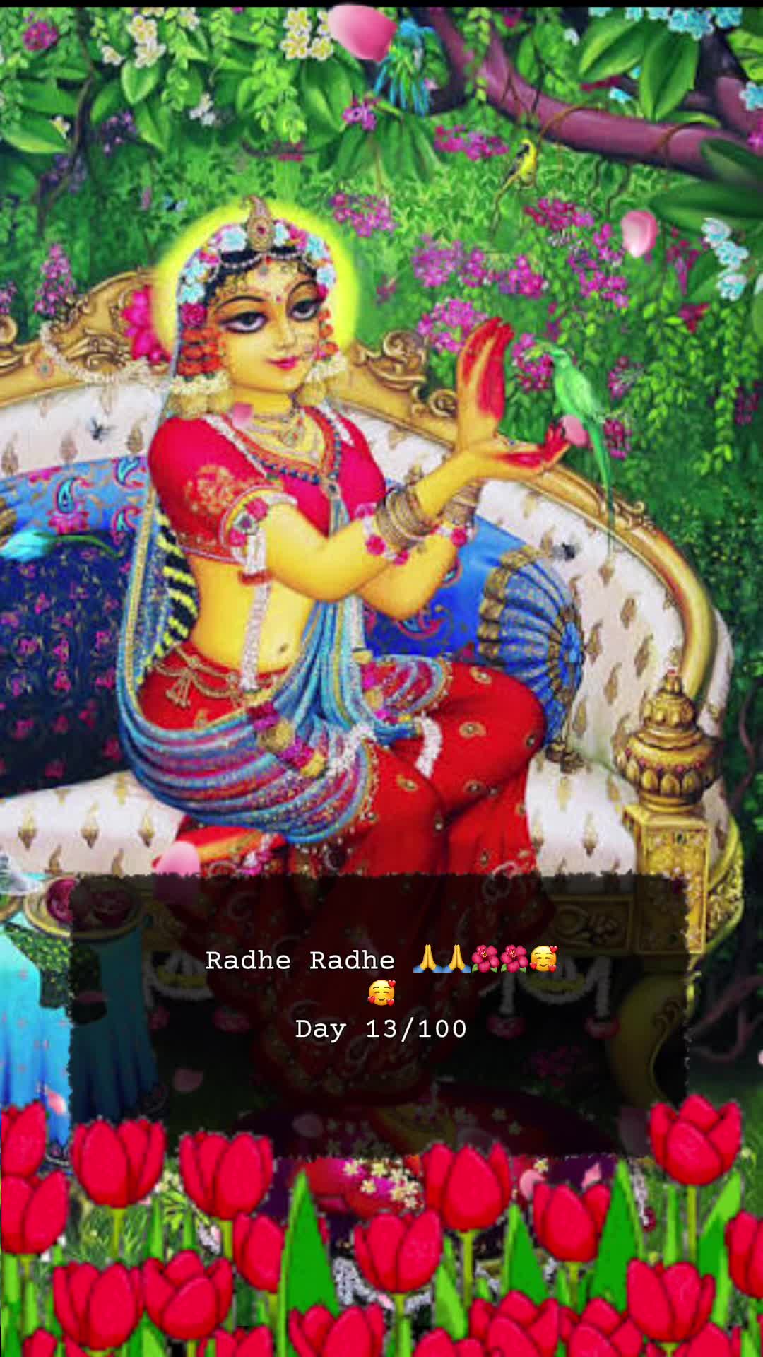 @RadheKrishna🦚🦚🙏🙏