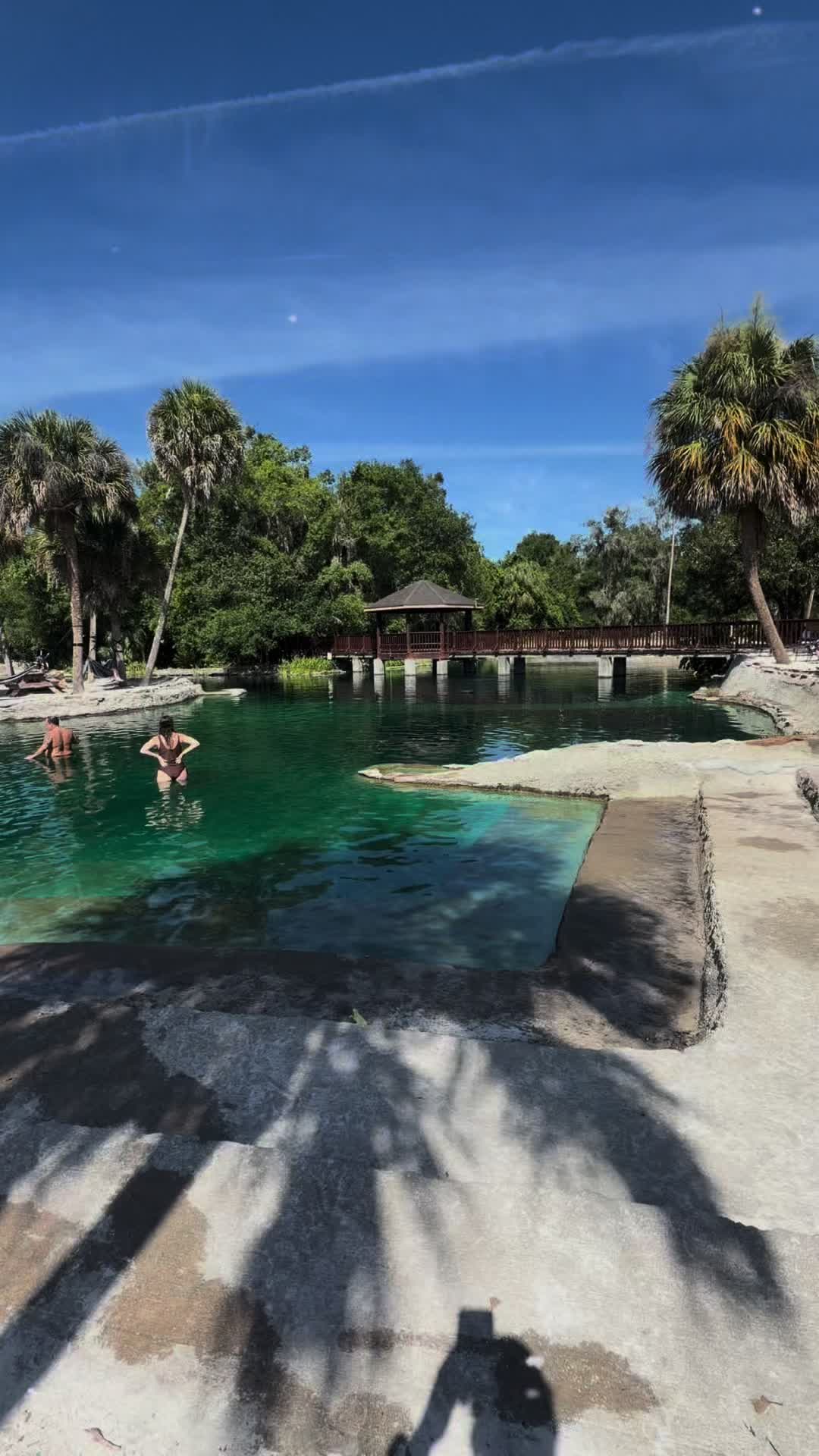 @willowinbloomwellness
