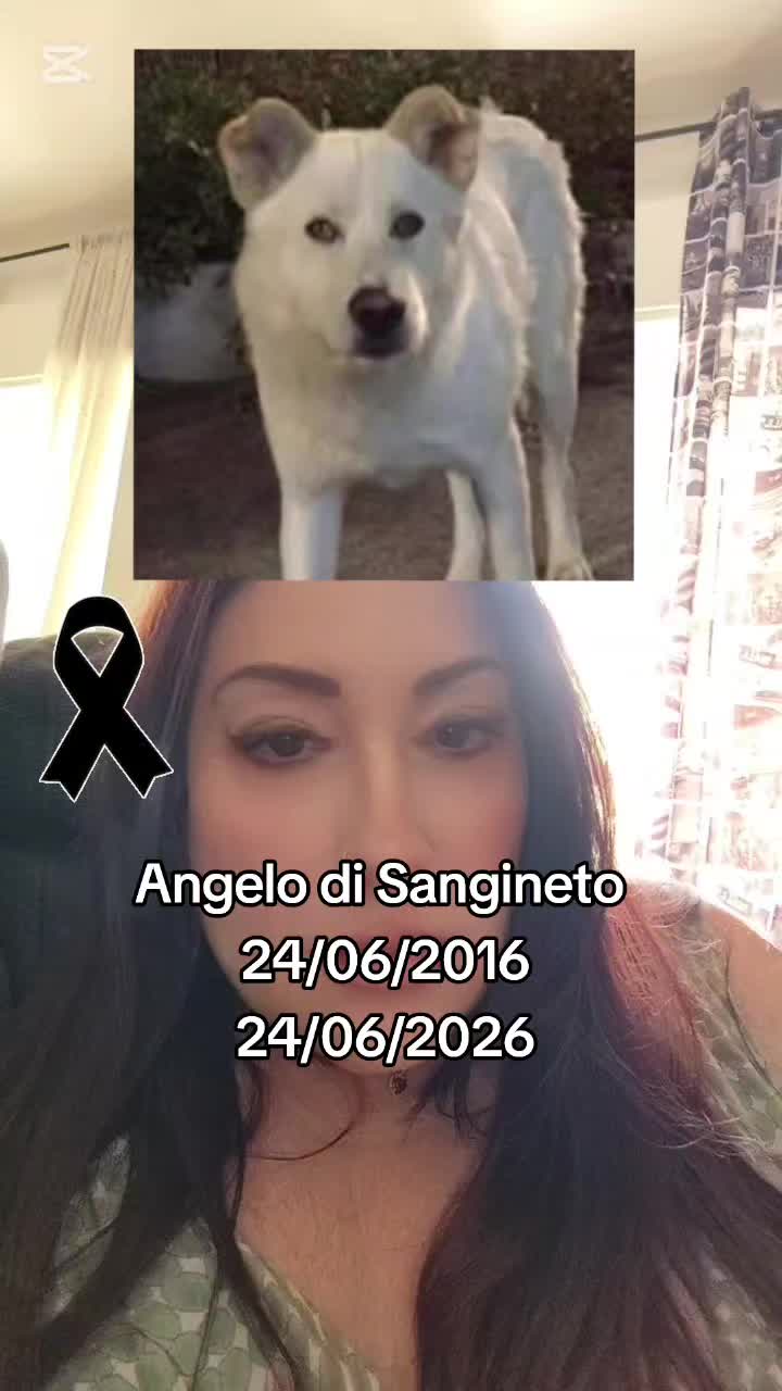@🐿️ Gabriella 🐻🐺