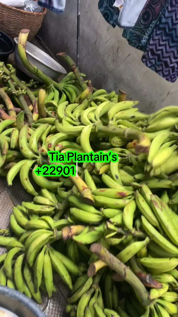 @tia.plantains