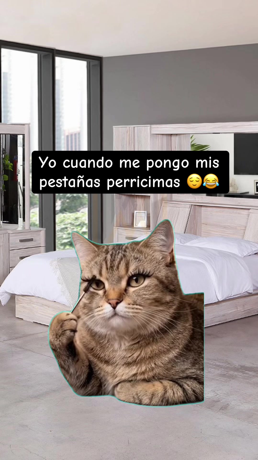 @soycaro.5siguemeparamas