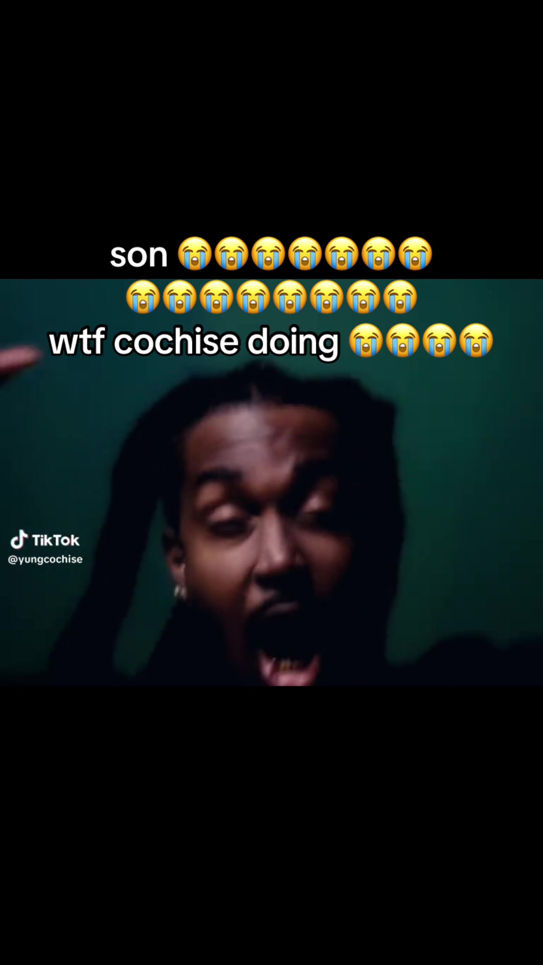 @ybg phyte