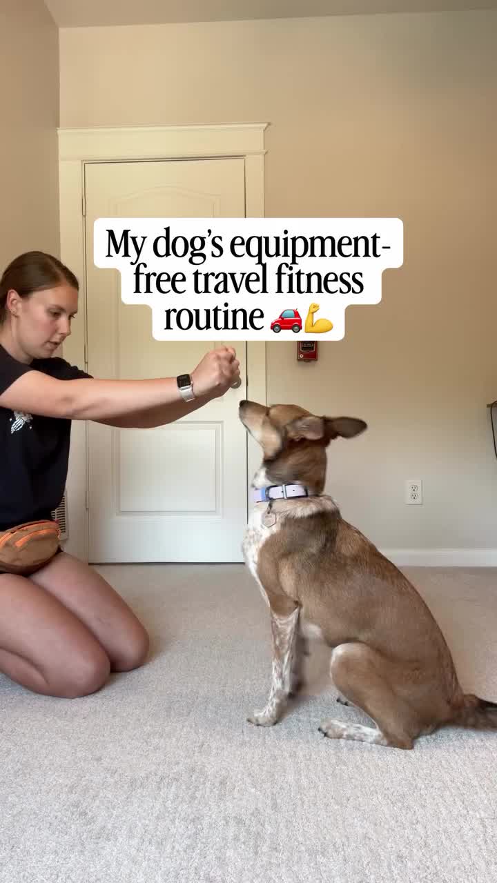 @Marissa | Kota & Aspen