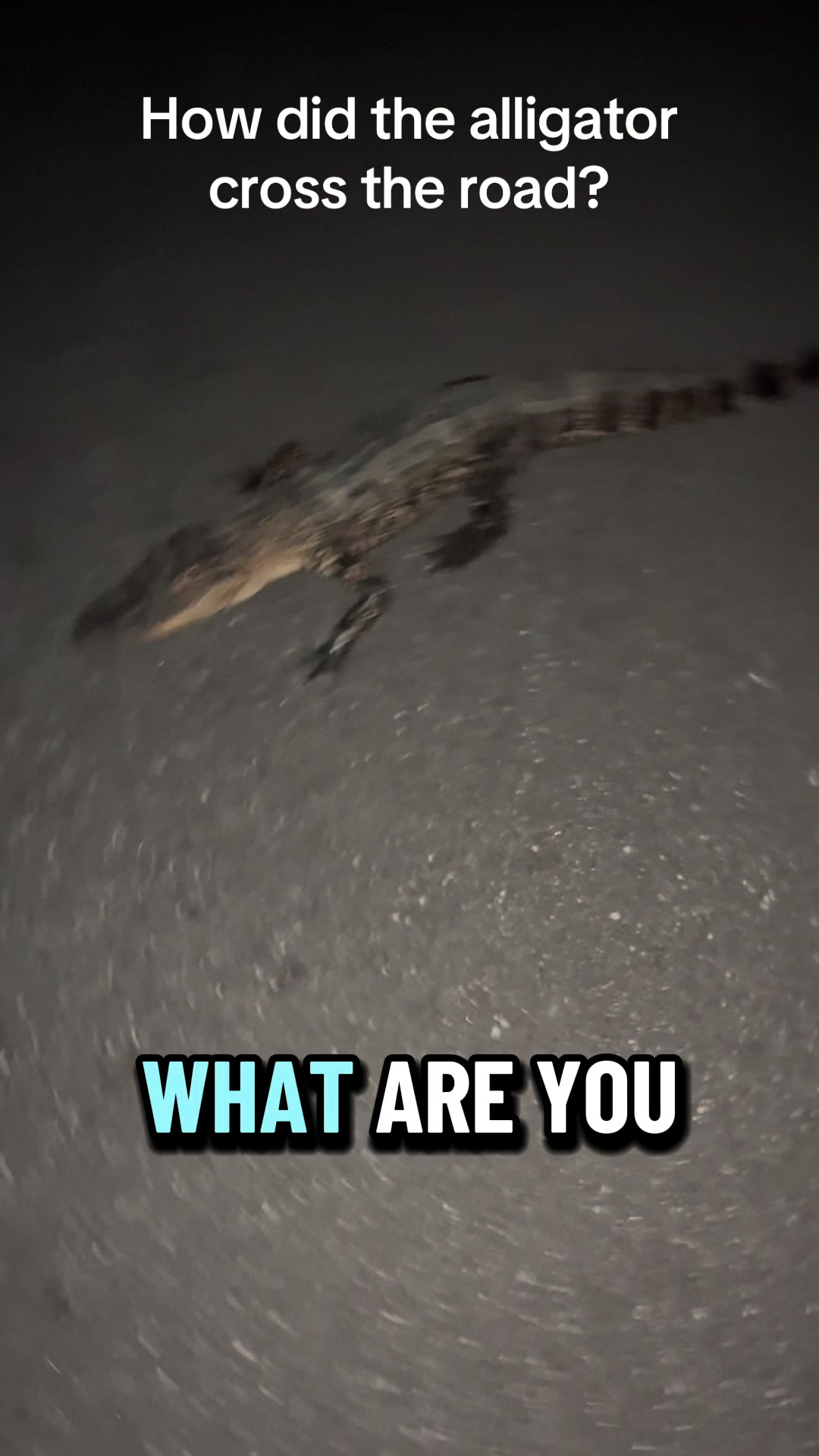 @Brandon