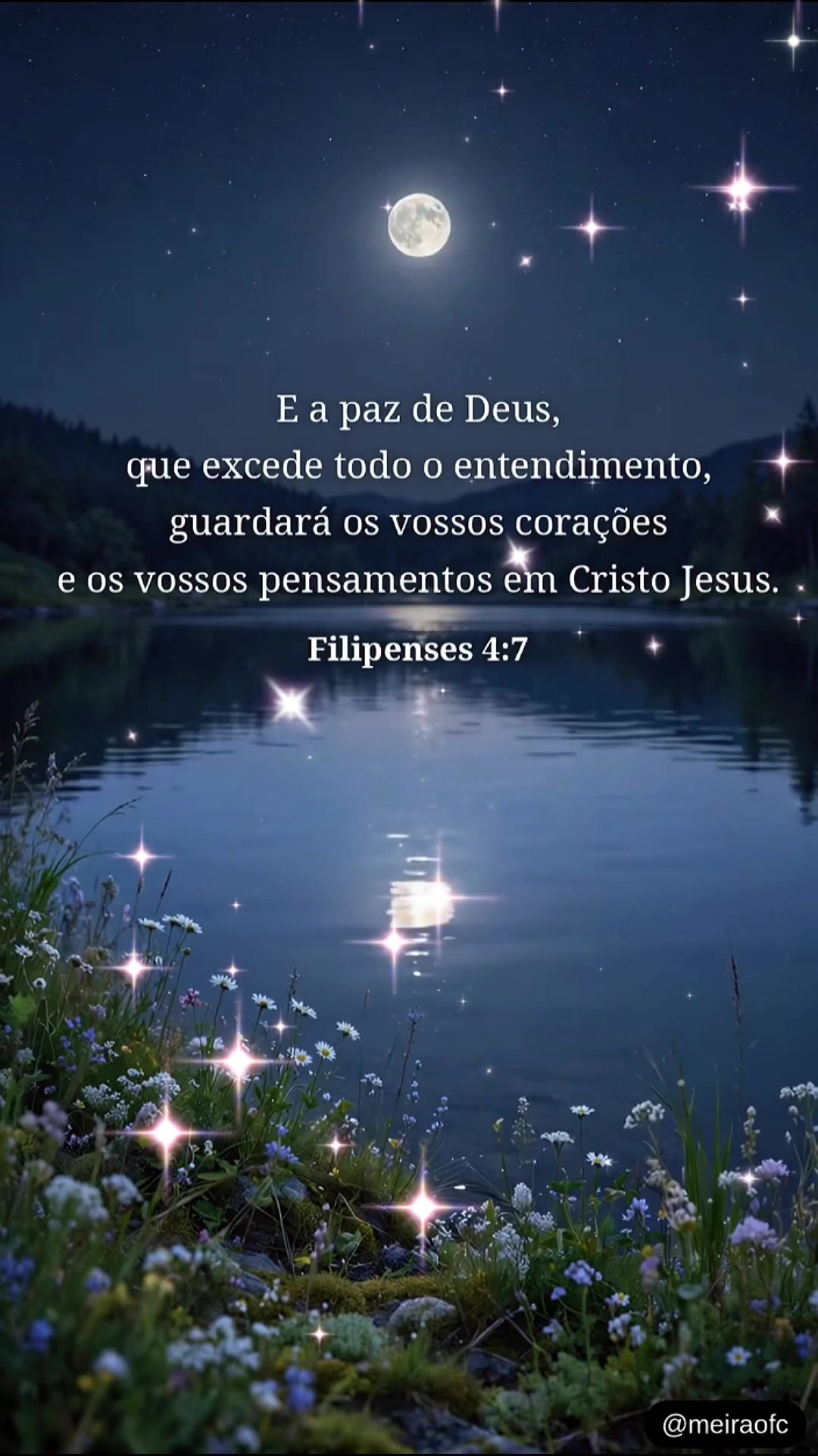 @Meiraofc