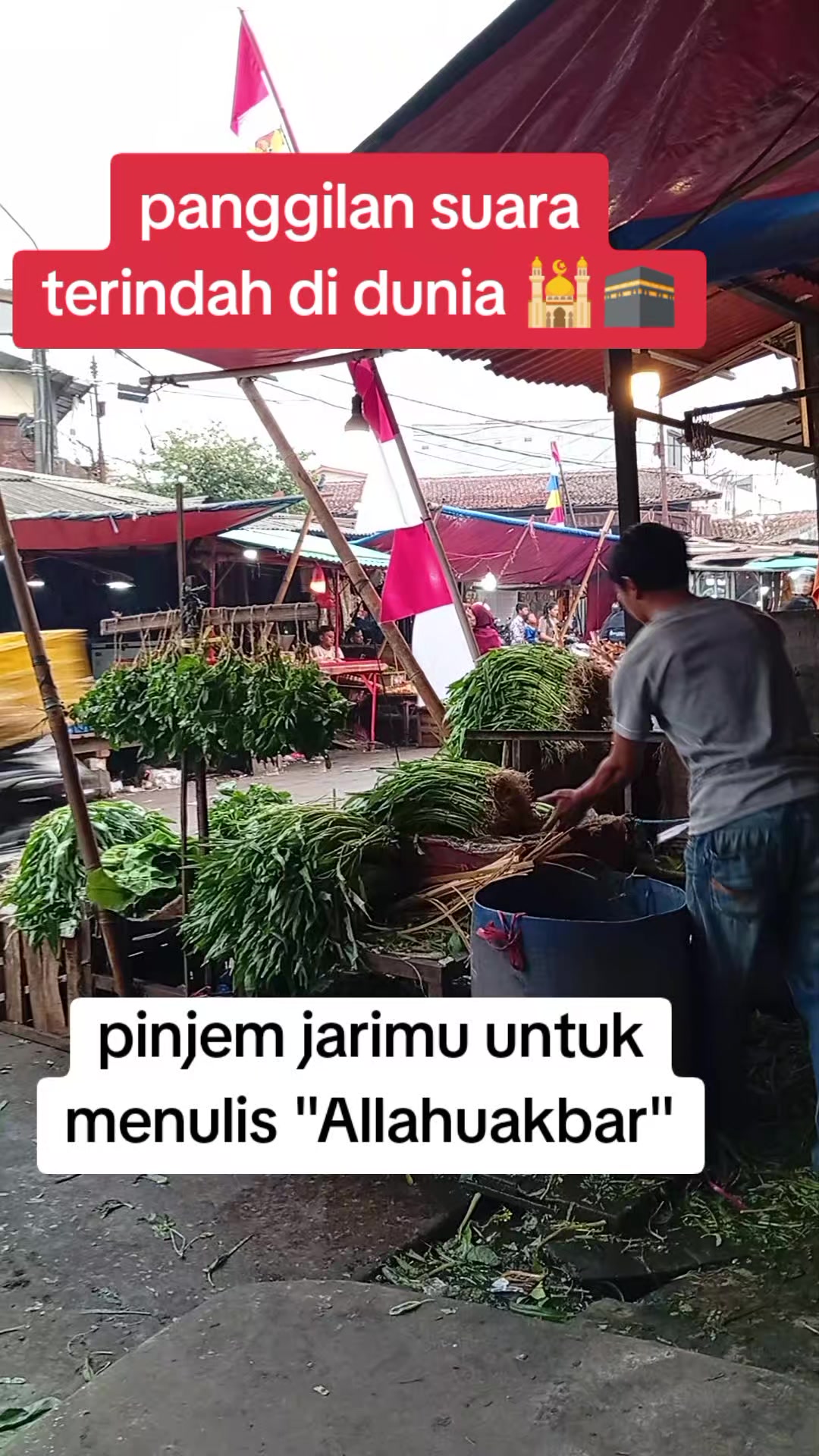 @Zayuran ajang