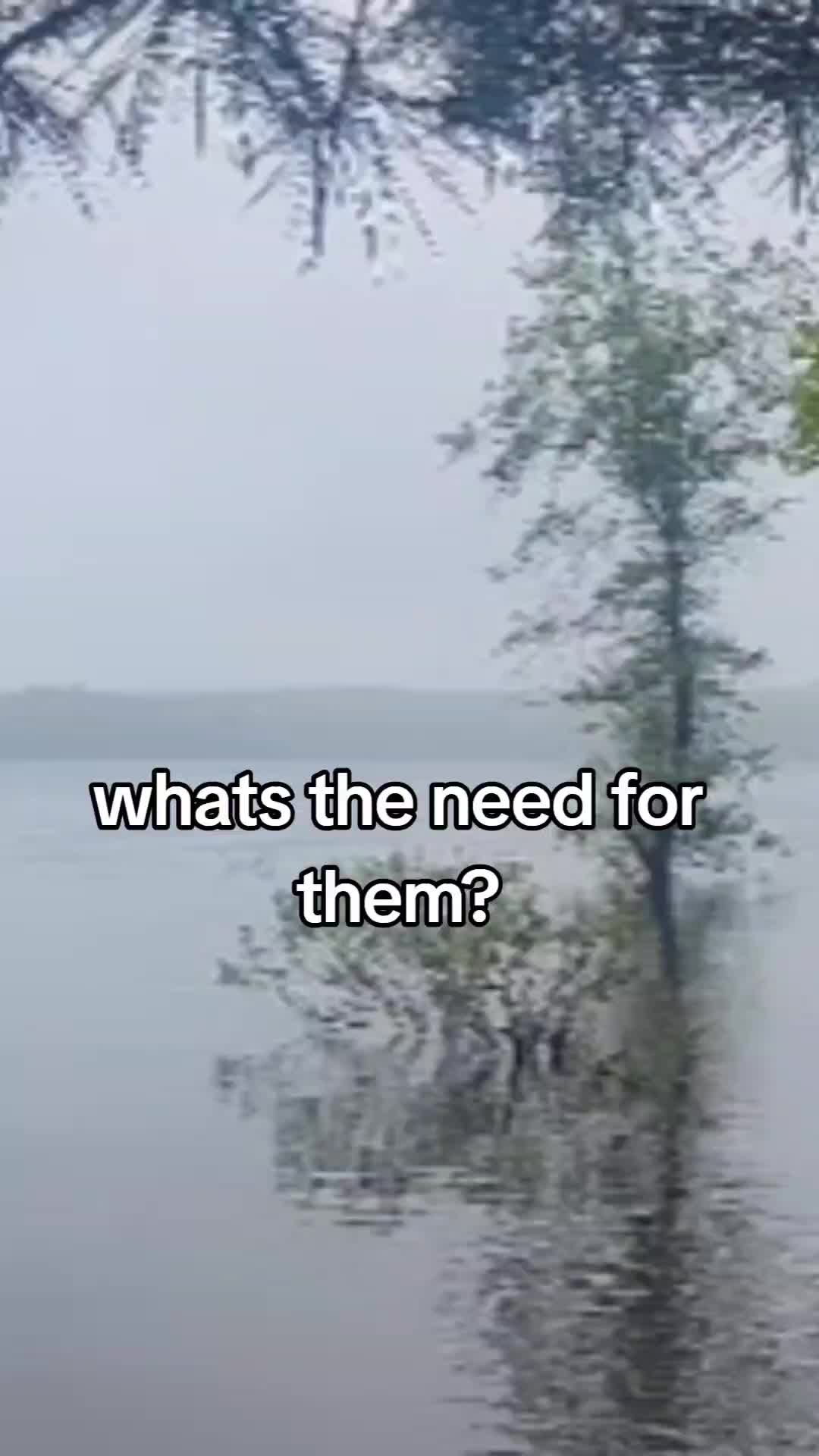 @Drew