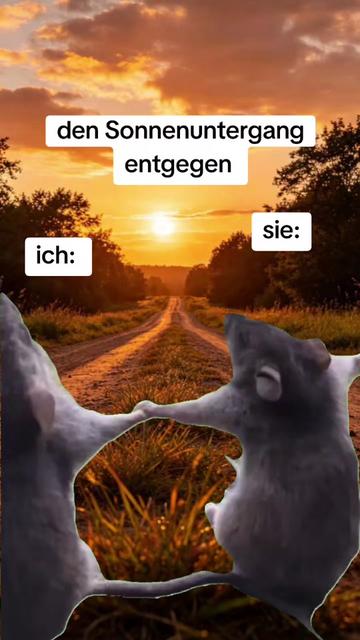 @Spirit in the soul
