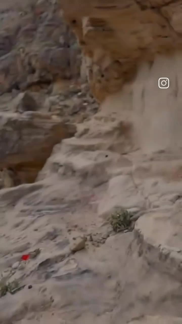 @معتز التعمري 501📆