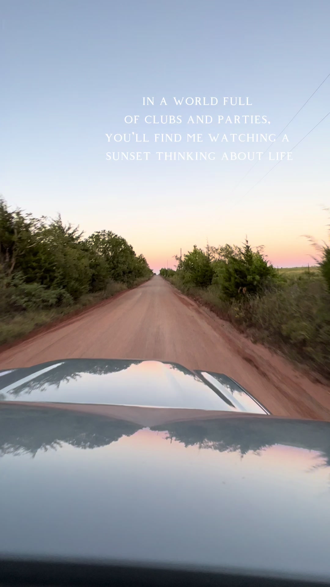 @Moonshine Hippie