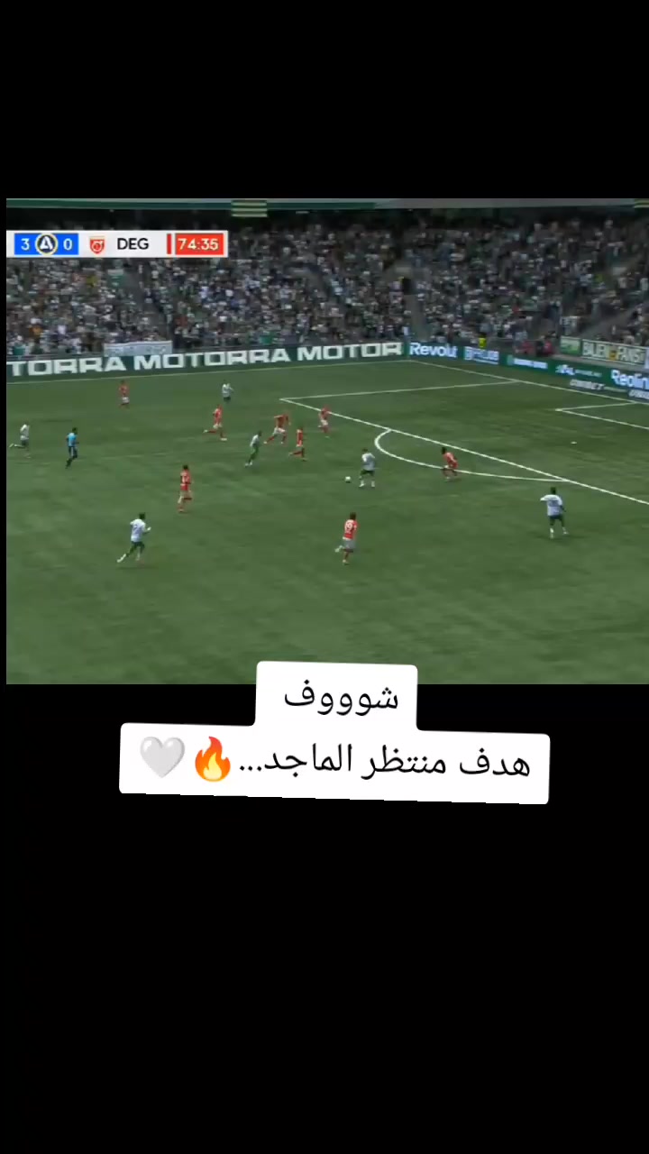 @ملعب البصرة جذع نخلة
