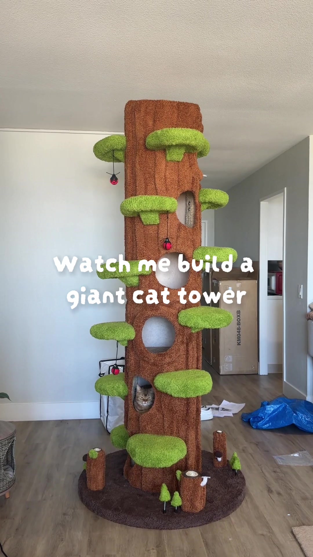 @kiarrastorm