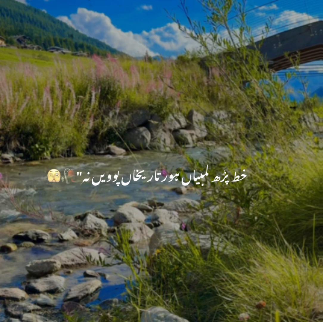 @saqib3449