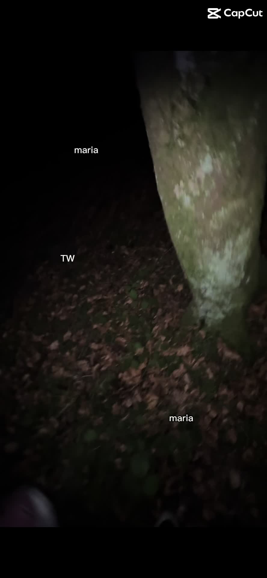 @🏃&zwj;♀️👮&zwj;♂️🚔