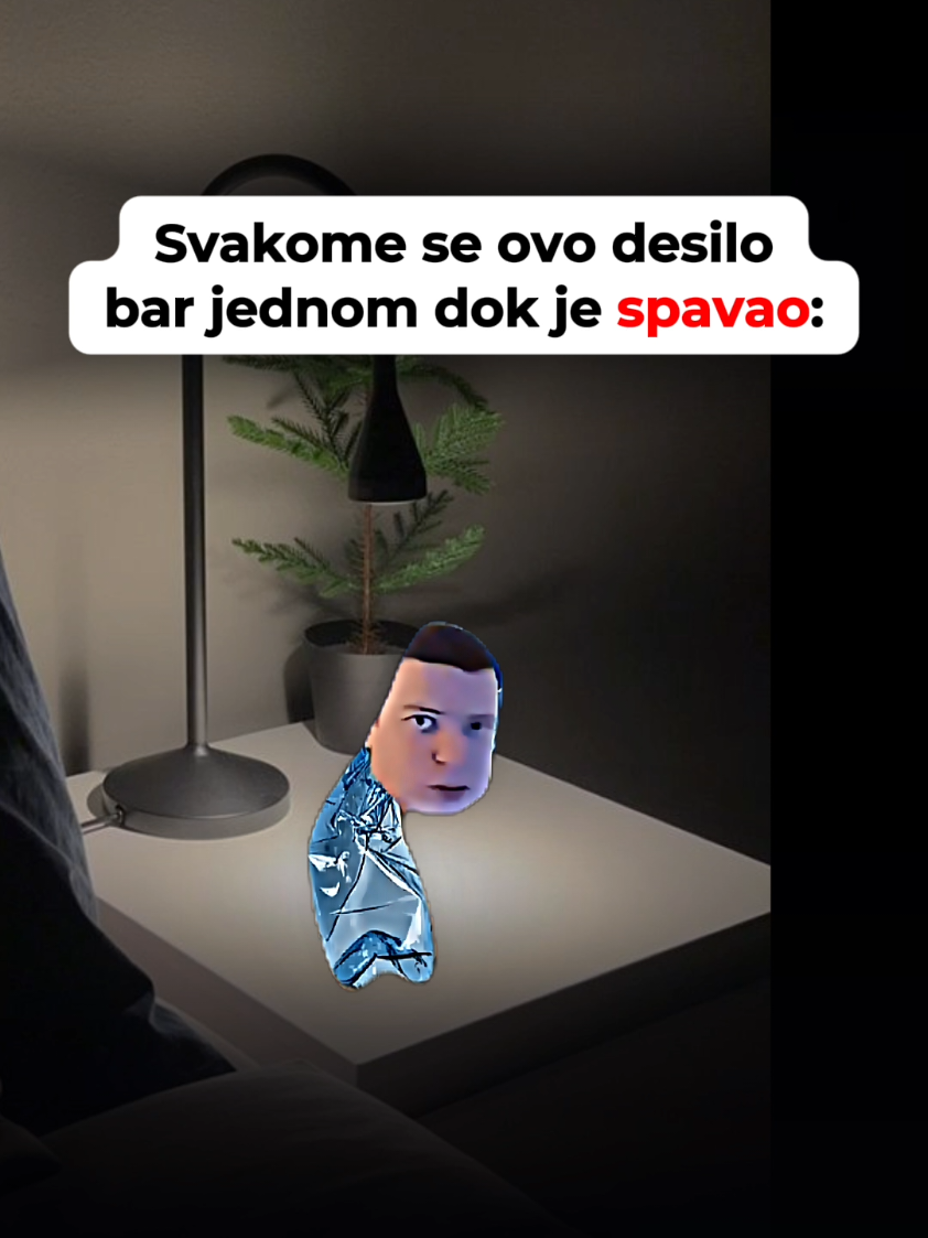 @user65384299754