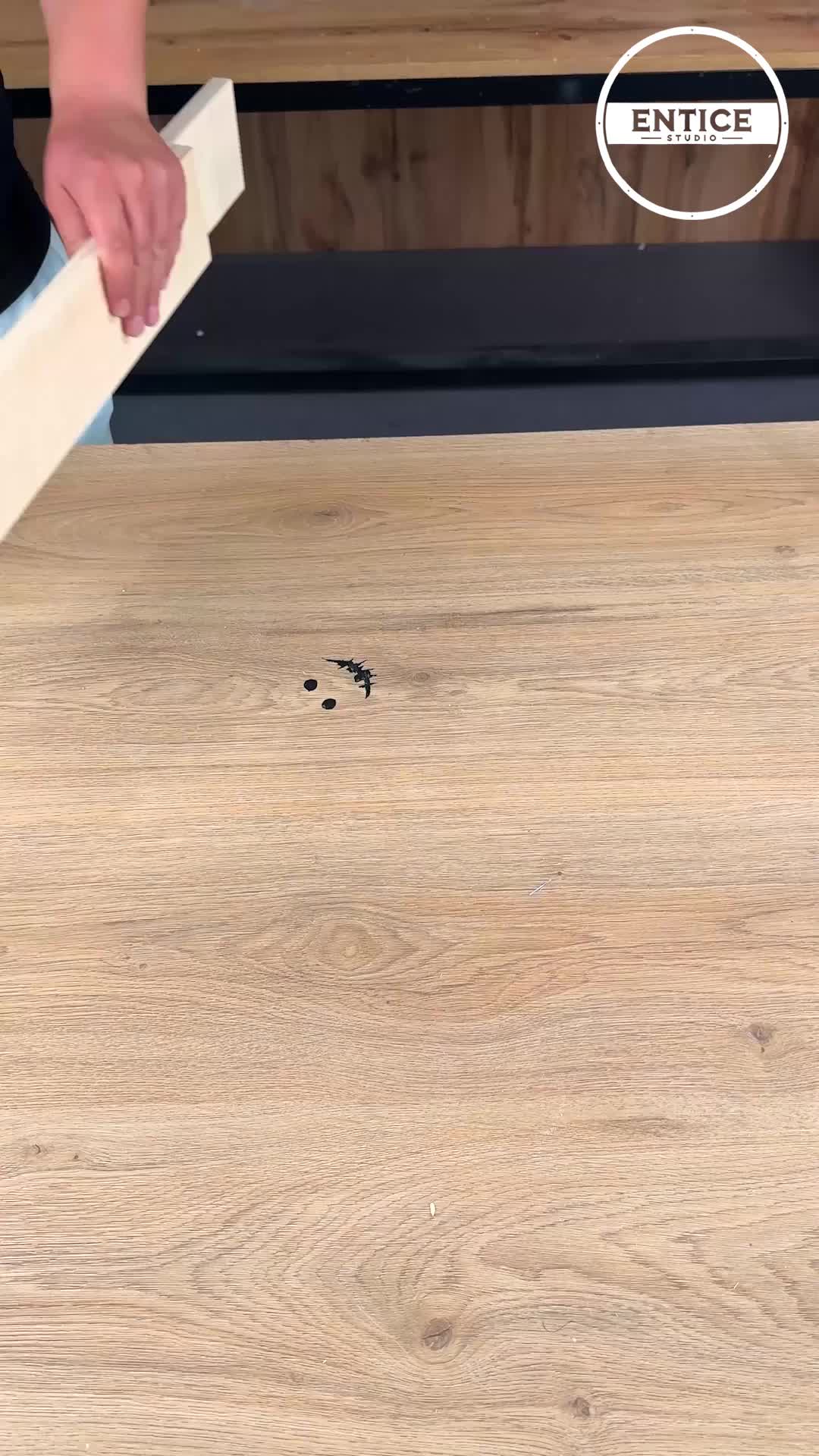 @theenticestudio