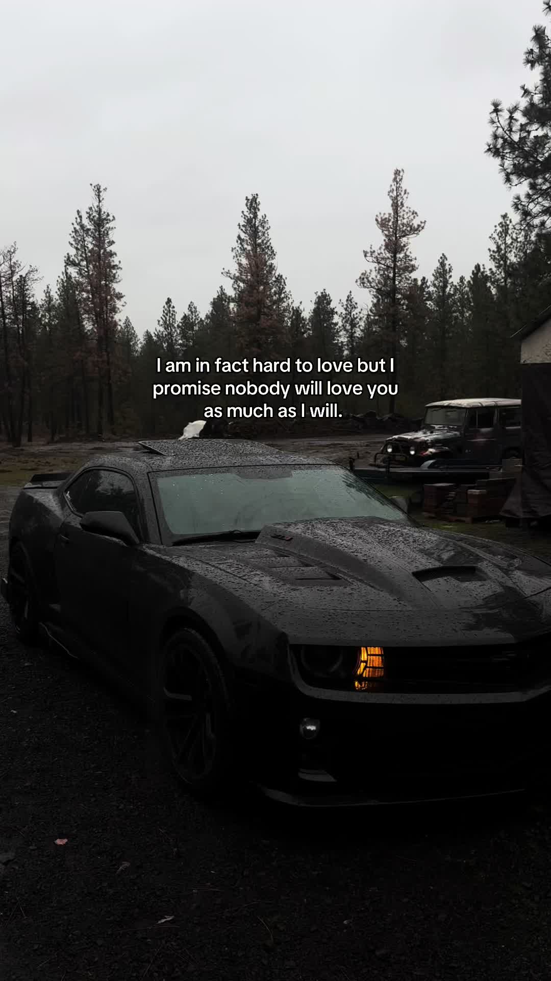 @midnight_zl1