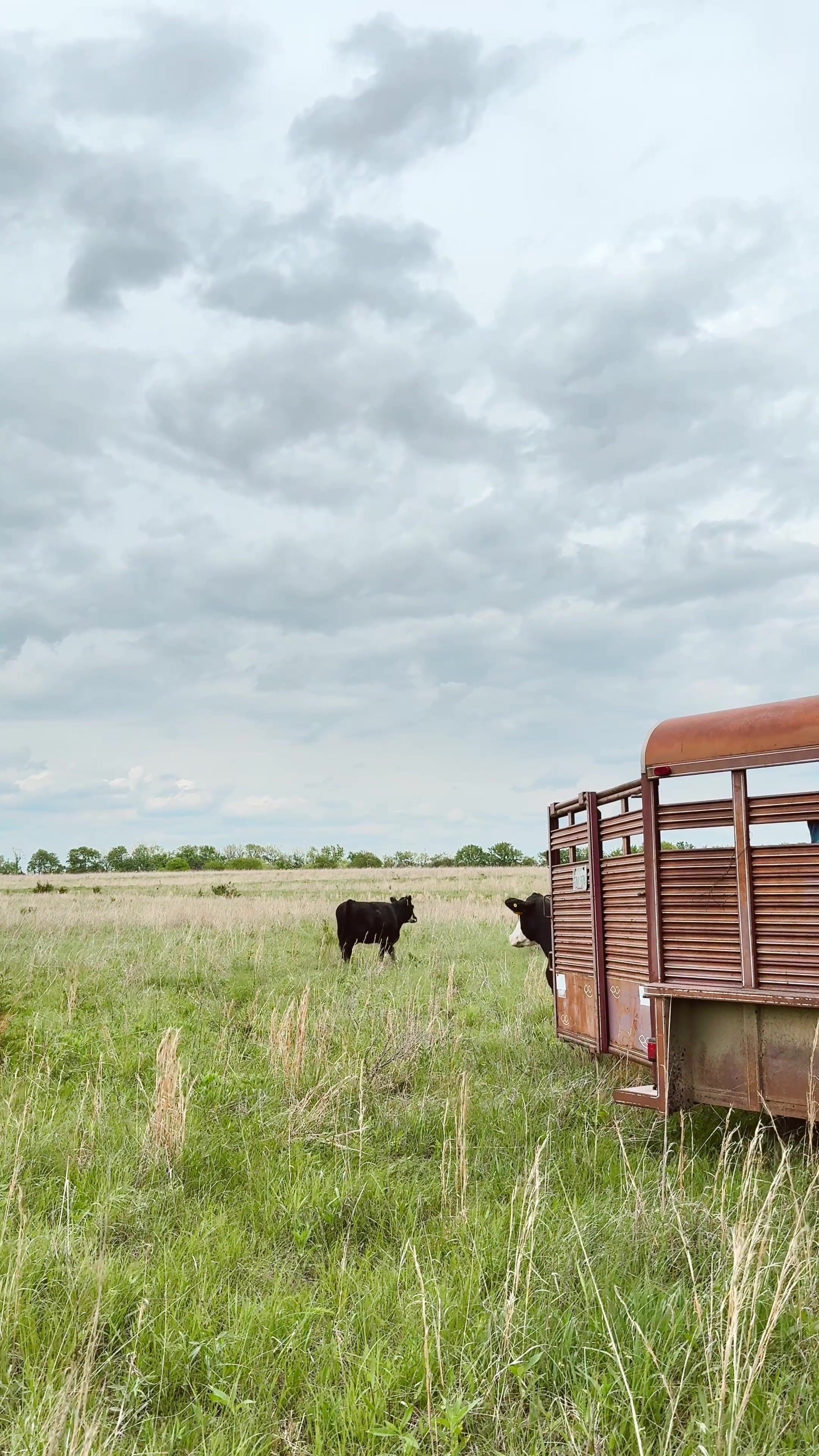 @Cydnee | Western Lifestyle