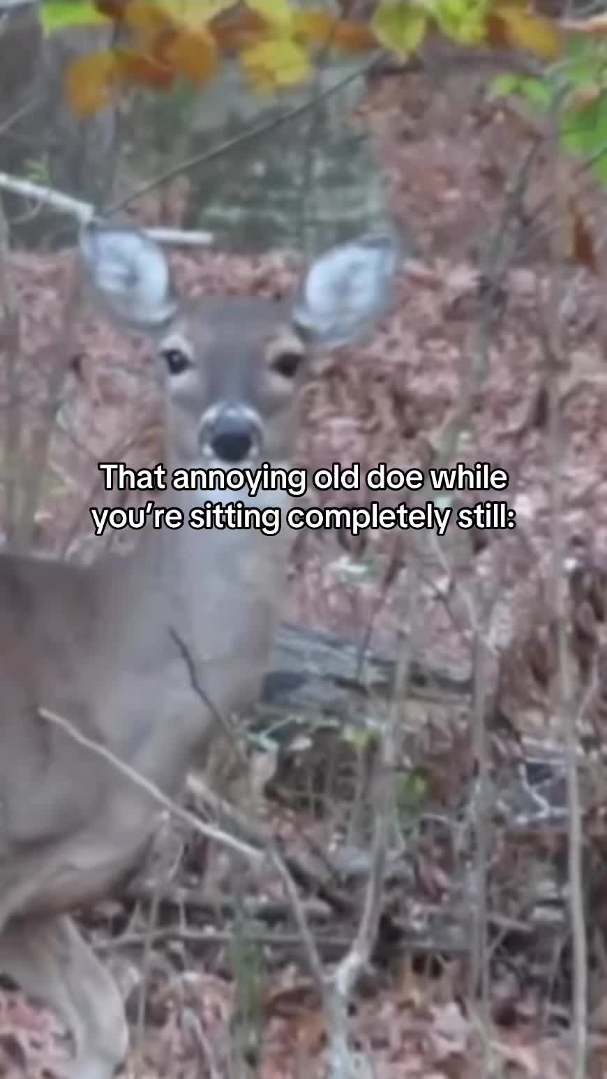 @Delta Pines Outdoors