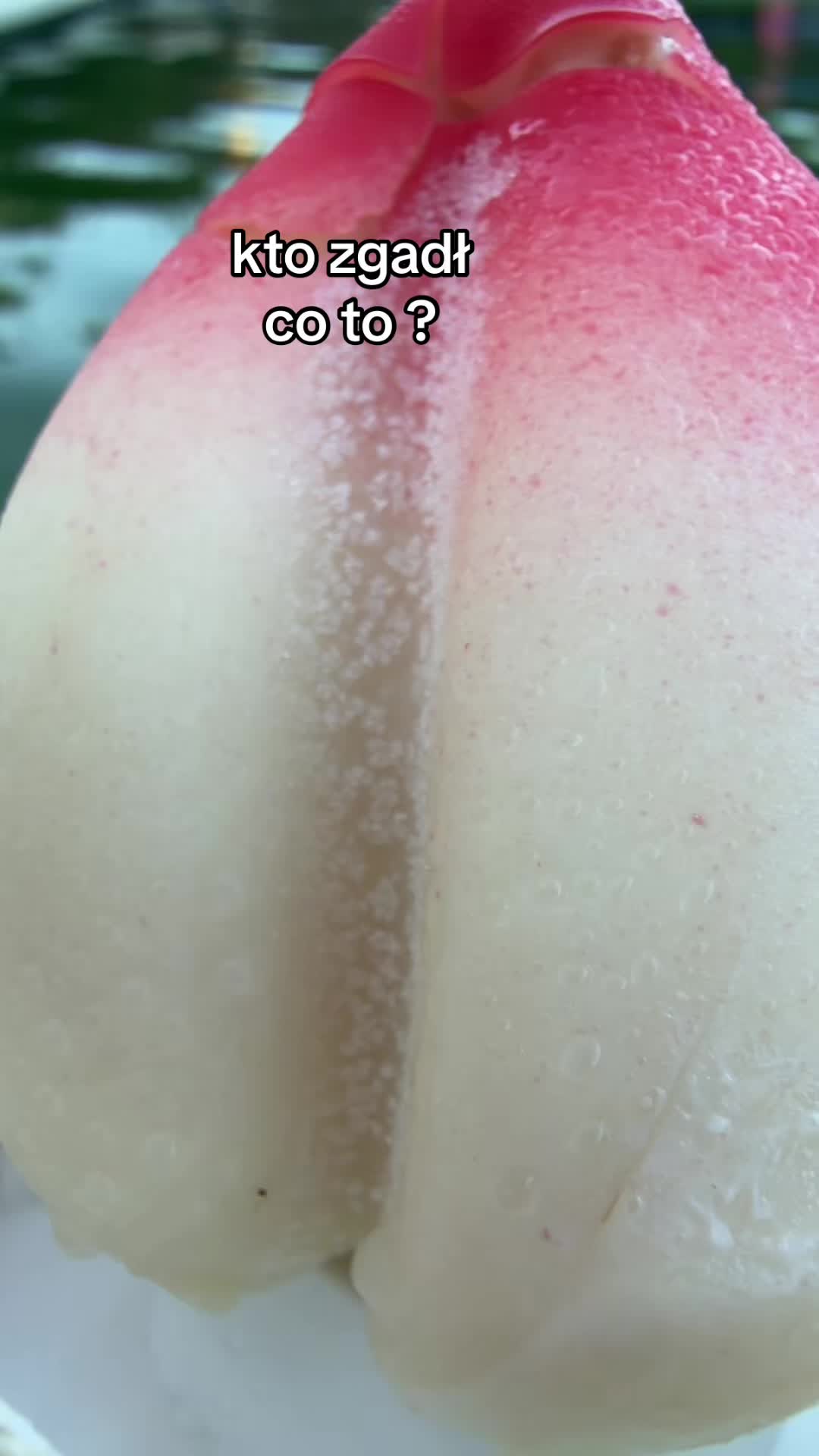 @SzakaLaka