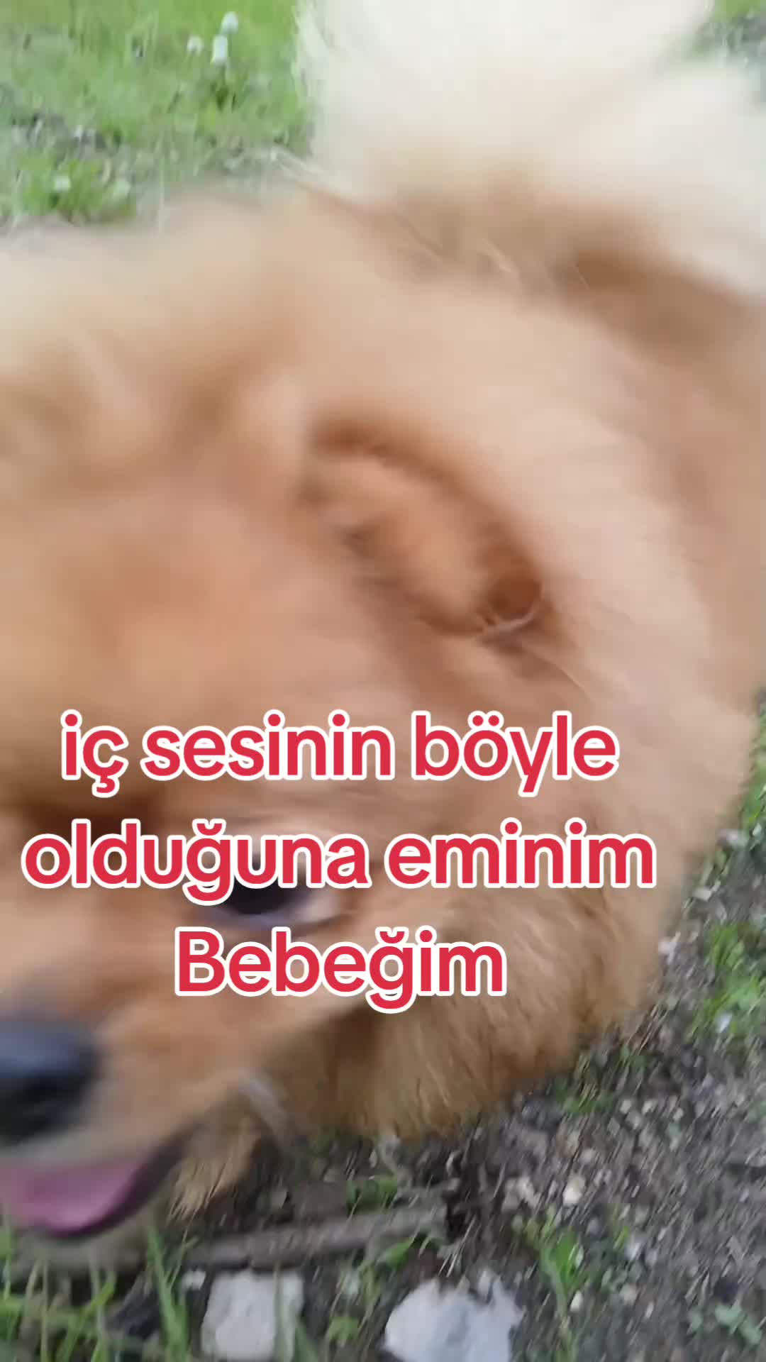 @🪬çiçek🪬