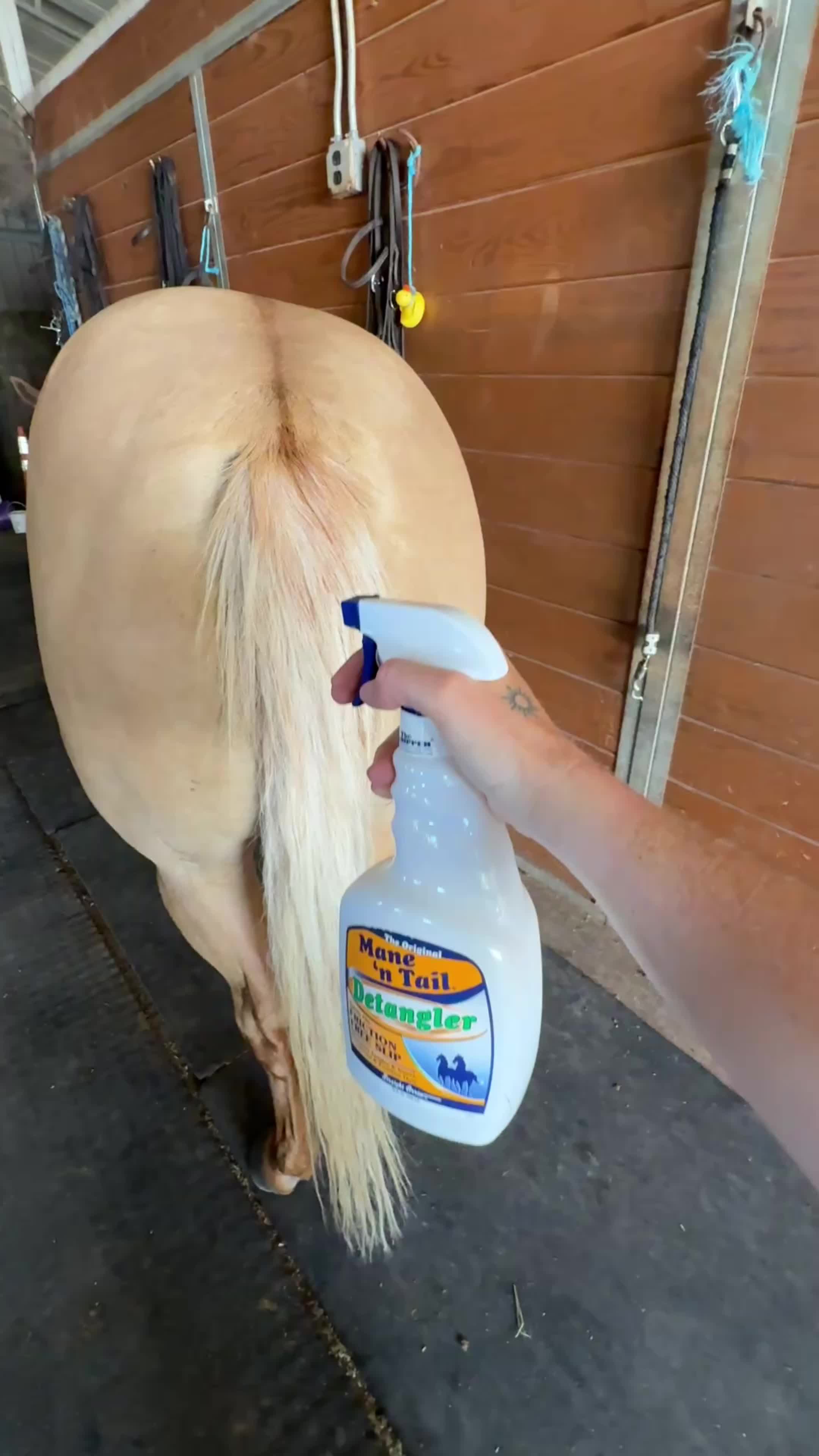 @kowpoke_kenzie